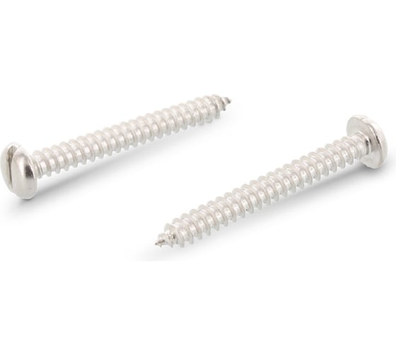 Изображение товара Саморез Metiz-A2 DIN 7971, M4.8х19 мм, А2, нерж., цилиндр, прямой. шлиц, 10 шт. 797124819 10