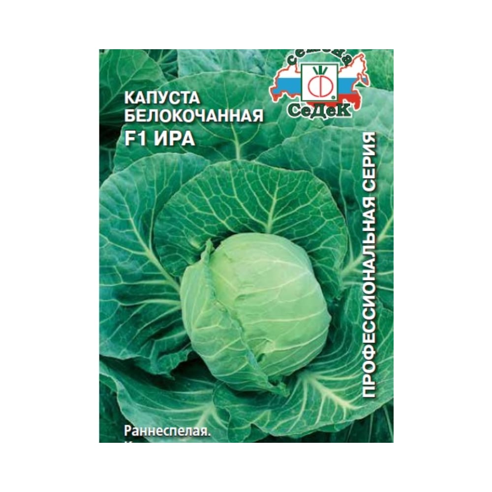 Семена СеДек 15882