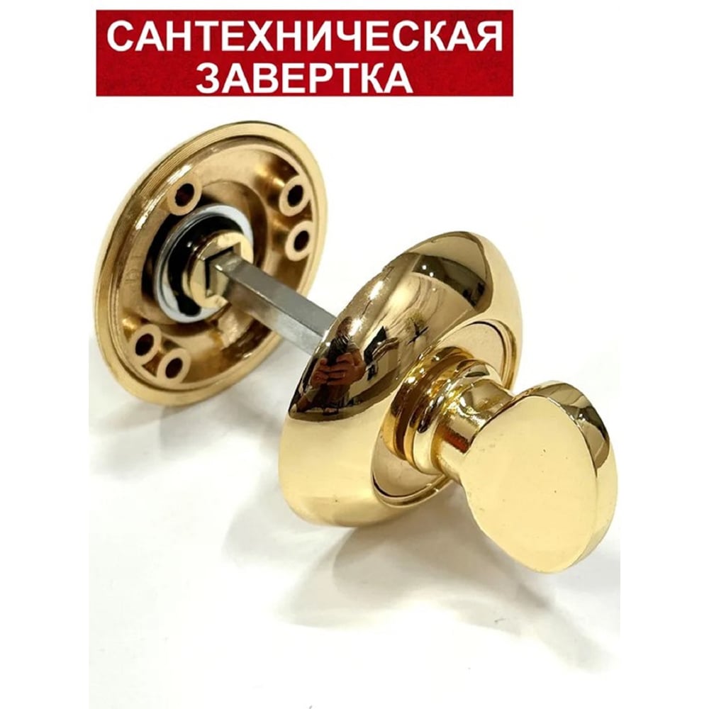 Изображение товара Сантехническая завёртка RUCETTI RAP WC PG золотистая для дверей WC