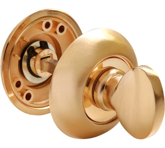 Изображение товара Сантехническая завёртка Rucetti RAP WC SG/GP цвет-матовое золото/золото 9008778