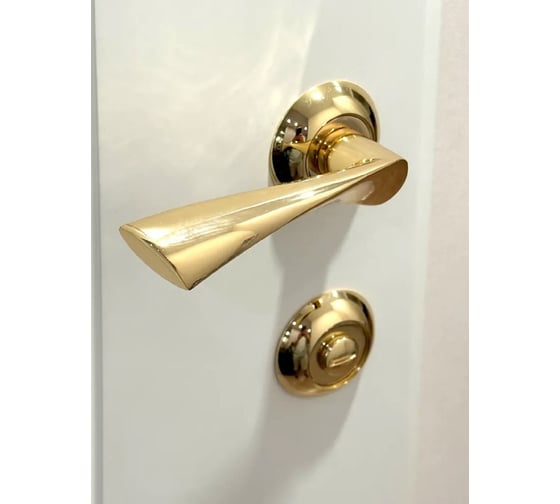 Изображение товара Дверная ручка RUCETTI RAP 1 PG, цвет-золото 9009701