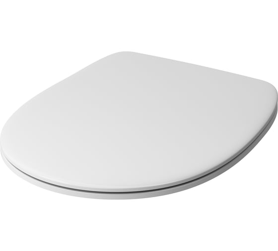 Изображение товара Сиденье для подвесного унитаза AM.PM Sense микролифт C747855WH