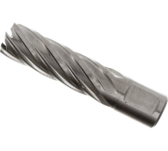 Изображение товара Сверло кольцевое (19х55 мм; HSS; Weldon 19) EUROBOOR HCL.190