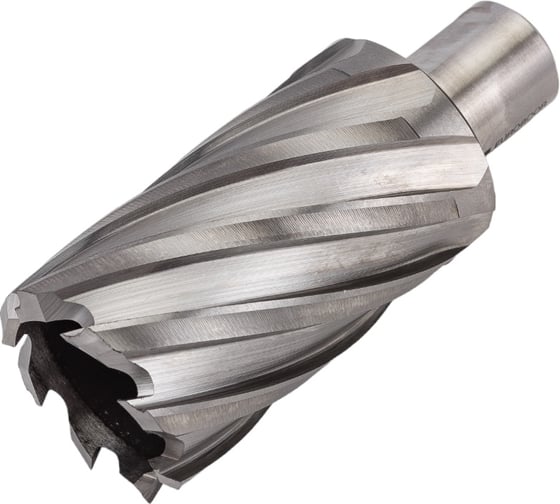 Изображение товара Сверло кольцевое (36х55 мм; HSS; Weldon 19) EUROBOOR HCL.360