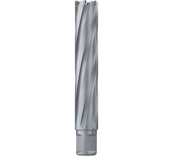 Изображение товара Сверло кольцевое (25х100 мм; TCT; Weldon 19) EUROBOOR HMX.250