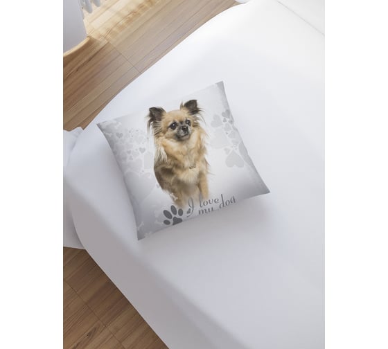 Изображение товара Декоративная наволочка на молнии JoyArty Собака Чихуахуа 45x45 см sl_91406