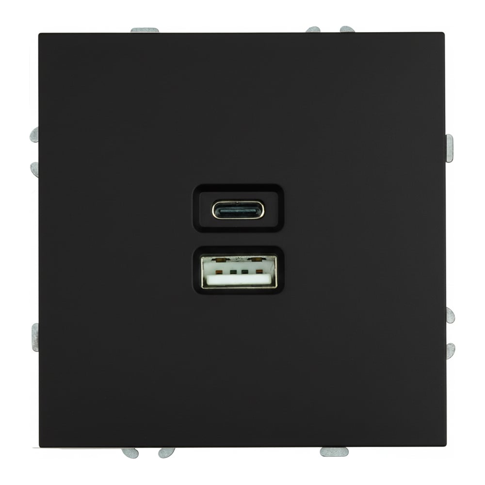 Изображение товара Розетка 2-местная USB + Type C механический монтаж серия Эмили черный уголь RST10-5115-05