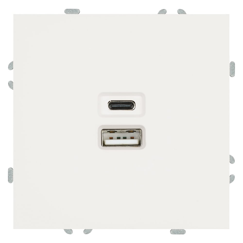 Изображение товара Розетка 2-местная USB + Type C серия Эмили RST 250В 20W белый фарфор