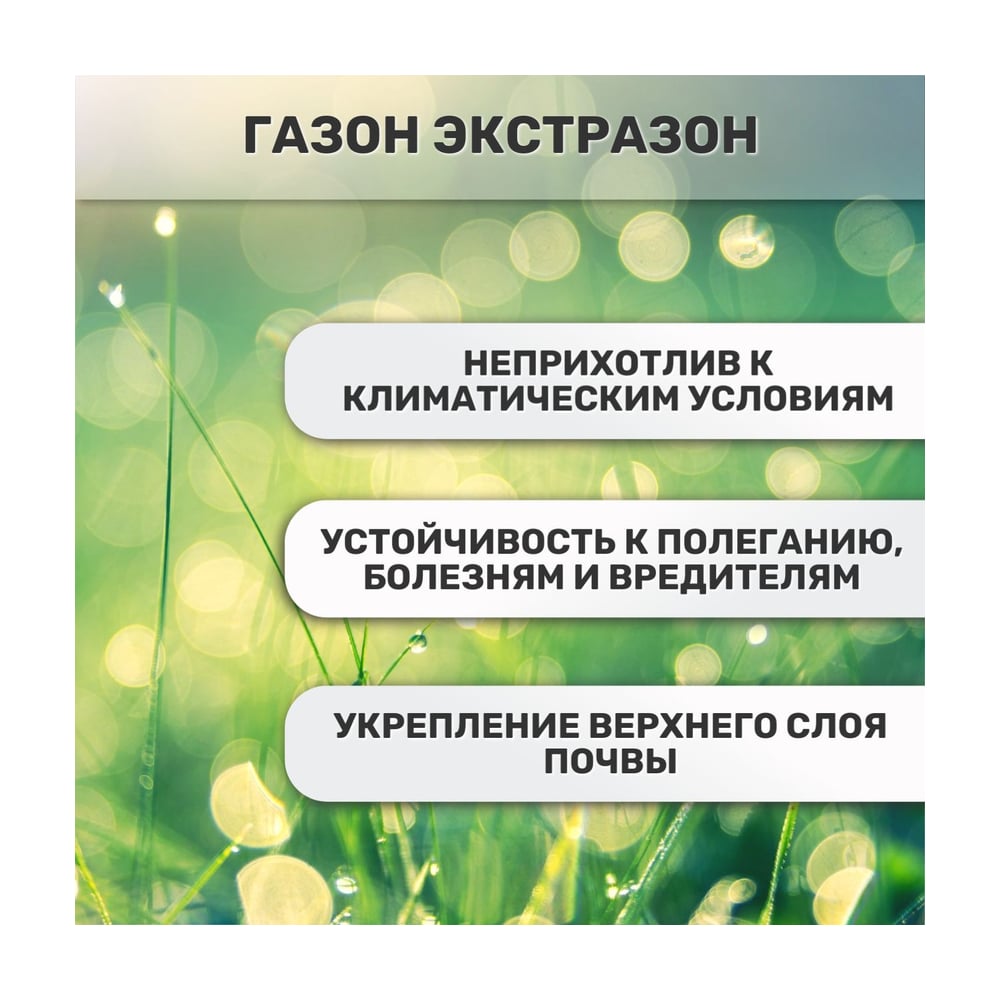 Семена газонных трав Зеленый ковер Экстразон, Газон за неделю 10 кг, для скоростного озеленения 4607160333786