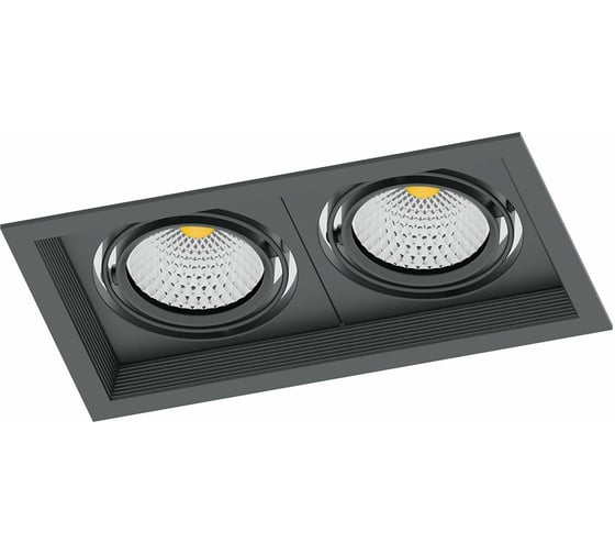 Изображение товара Карданный светильник с драйвером FERON AL202 2x20W, 3600 Lm, 4000К, 35 градусов, черный 41292