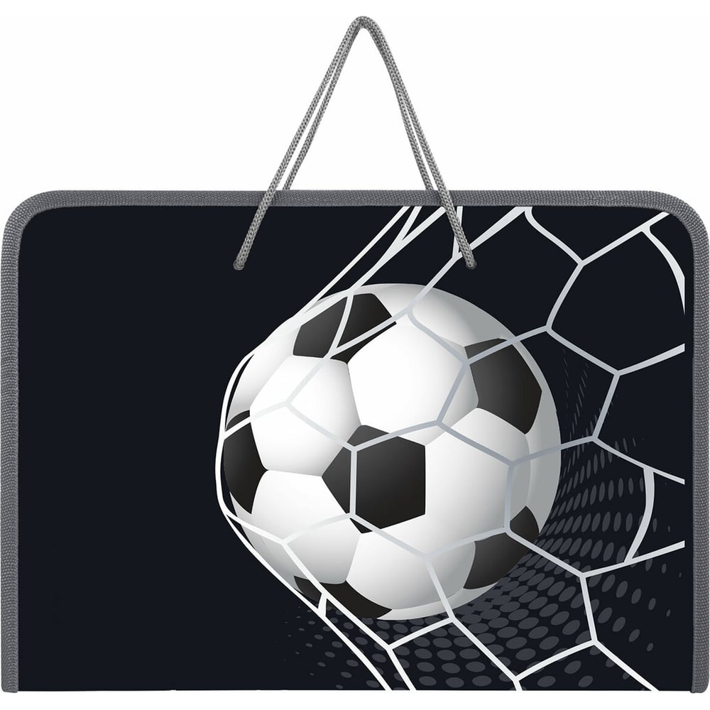 Изображение товара Папка Пифагор для труда на молнии с ручками А4, 1 отд., пластик, органайзер, Ball kick, 272229