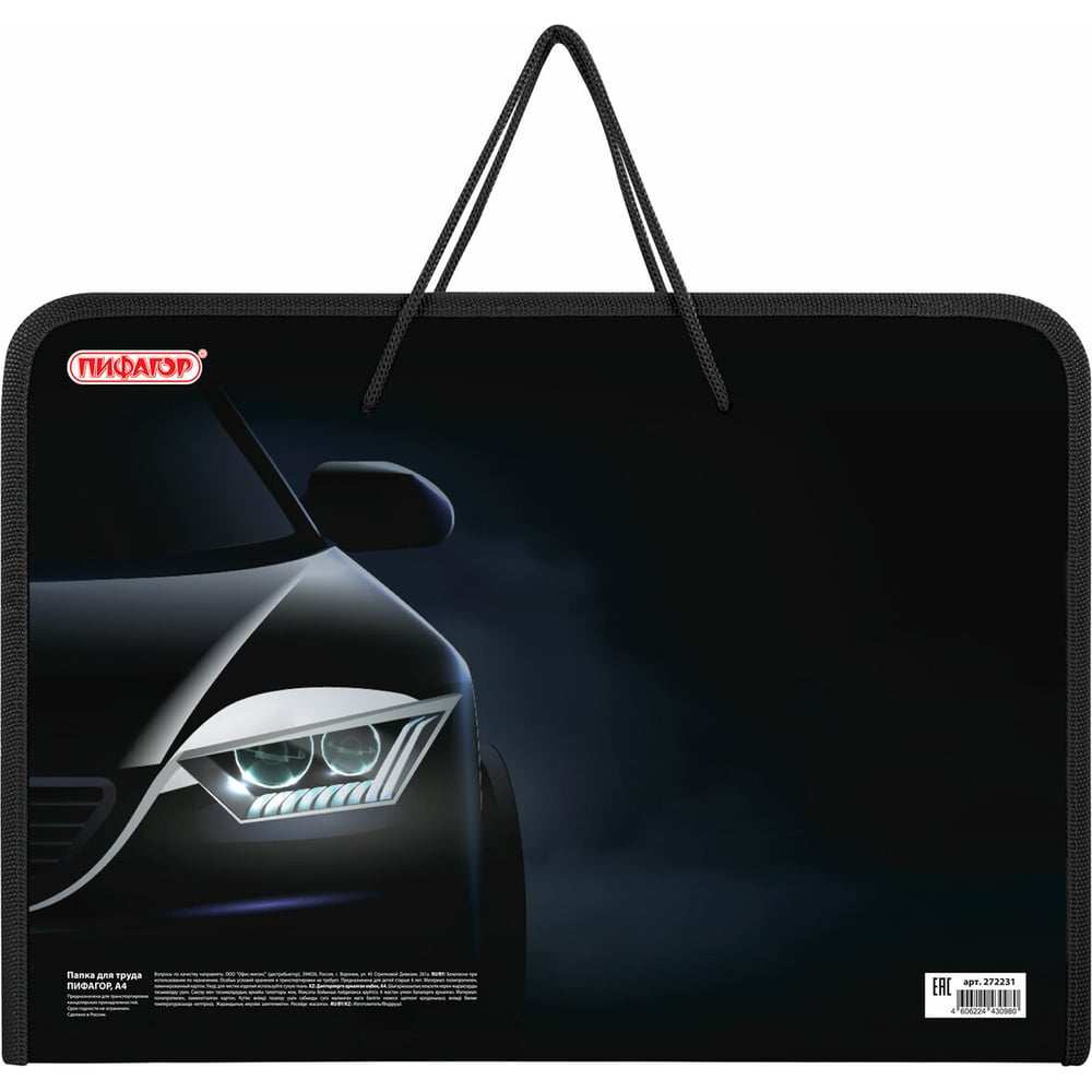 Изображение товара Папка Пифагор для труда на молнии с ручками А4 пластиковая