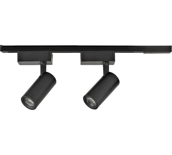 Изображение товара Комплект 2 трековых светильников Apeyron 2x10Вт, 1600лм, 4000К, IP20, на чёрном однофазном шинопроводе 500мм / 07-41