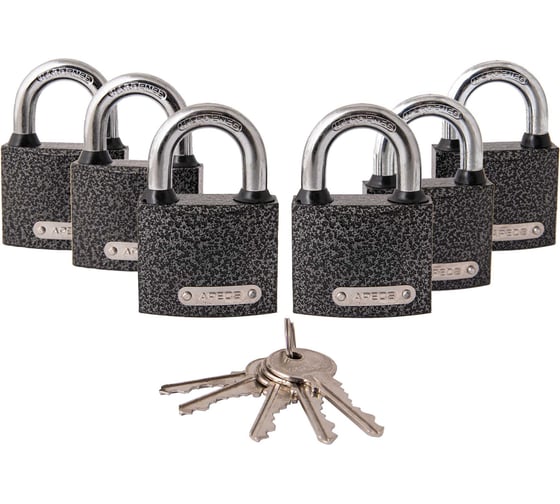 Изображение товара Навесные замки Apecs PD-01-50-Blister 6Locks+5Keys 28742