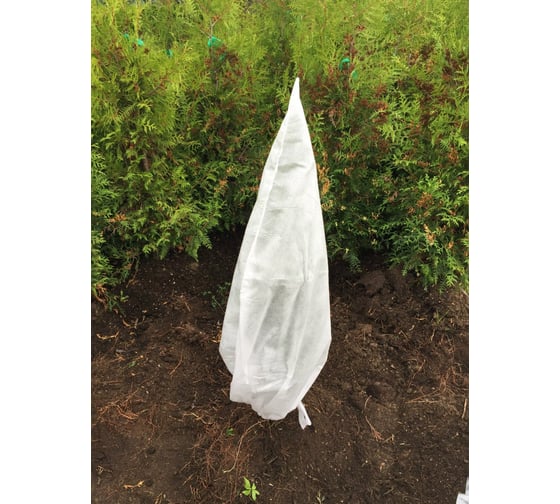 Изображение товара Чехол для укрытия растений Агротекс h=0,6м с УФ 2шт/упак 32.01.66.03.01.060.0000.0600.01