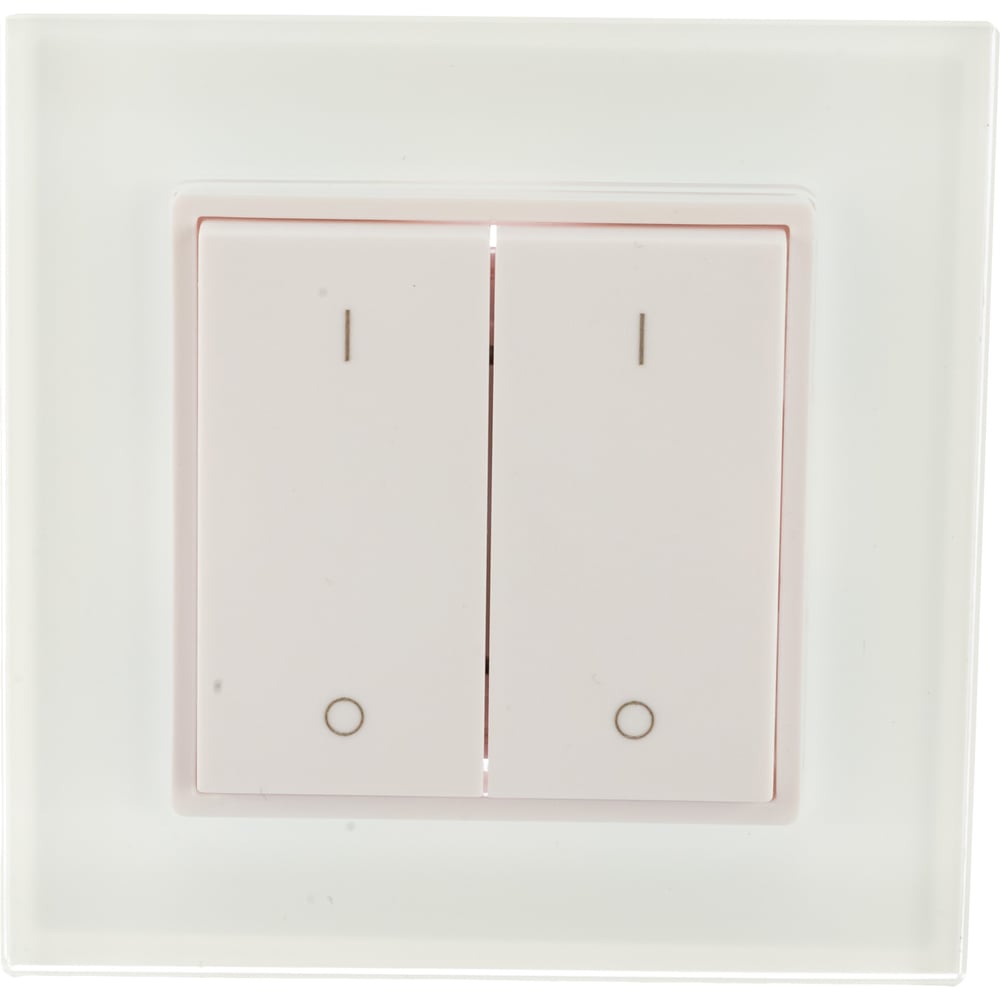 фото Радио панель easydim w-k2 накладная клавишная на 2 зоны 00-00001506
