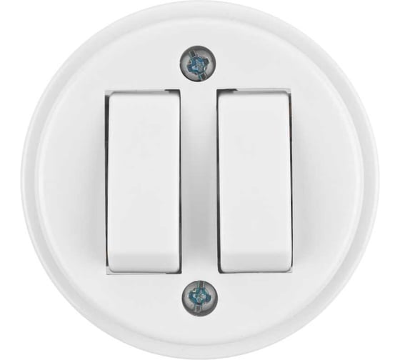 Изображение товара Выключатель 2-клавишный открытой установки TDM ELECTRIC IP20 10А белый "Ретро" SQ1806-0509