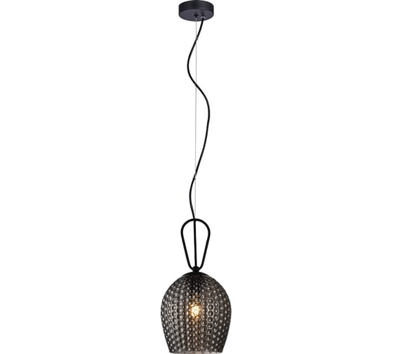 Изображение товара Подвесной светильник INDIGO 11001/1P Black V000085