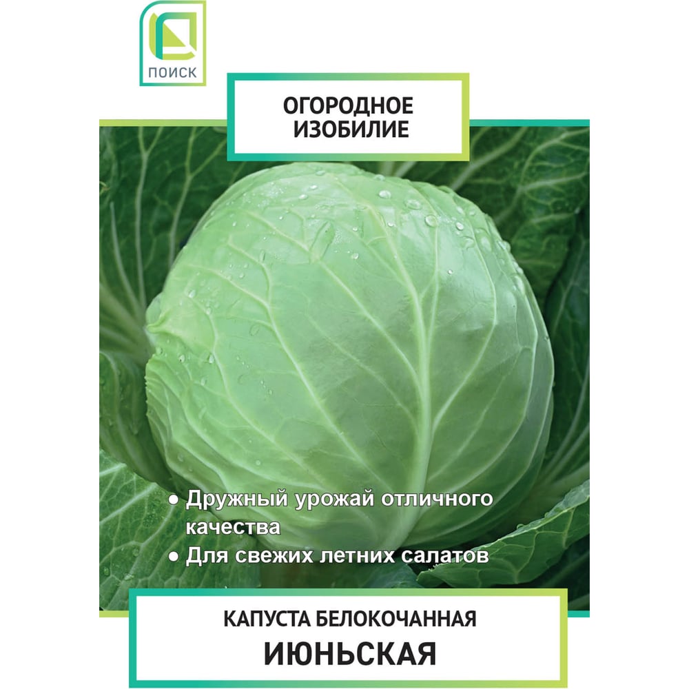 Семена Агрохолдинг ПОИСК 705988