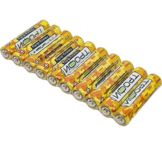 Изображение товара Элемент питания Трофи R0310S pack Heavy Duty Б0042309