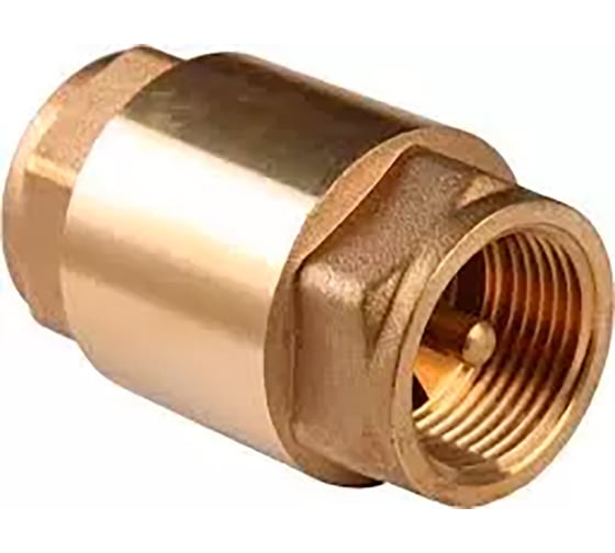 Изображение товара Обратный клапан 1" НР ВН резьба Maxpump 2000044300010