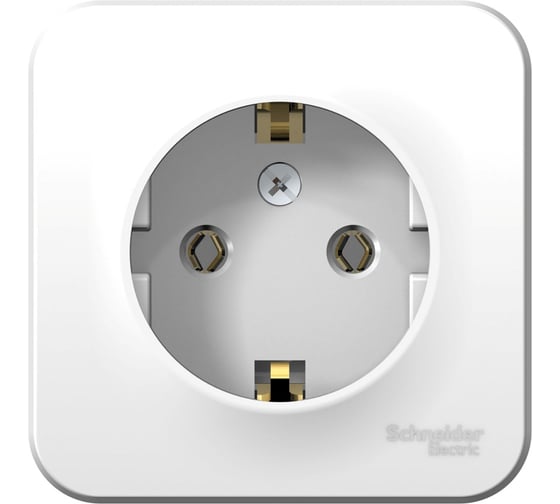 Изображение товара Розетка Systeme Electric BLANCA, открытой установки, с заземлением, без шторок, белый BLNRA010111
