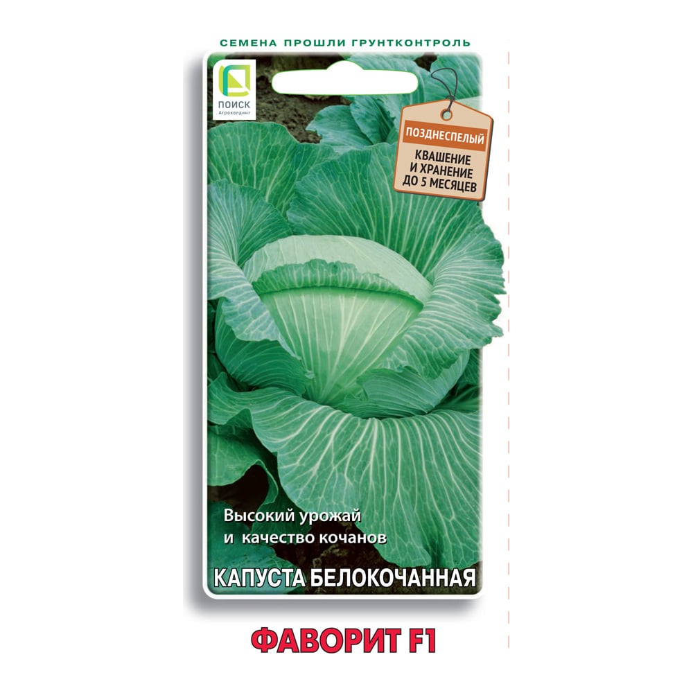 Семена Агрохолдинг ПОИСК 724102