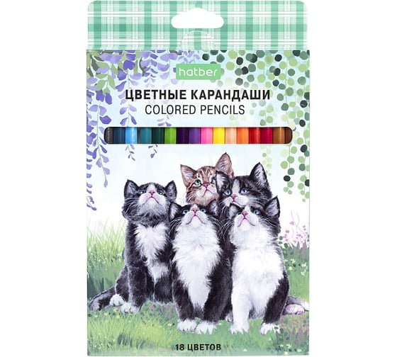 Изображение товара Карандаши цветные HATBER ECO 18 цветов Котики бывают разными, заточенные 084400