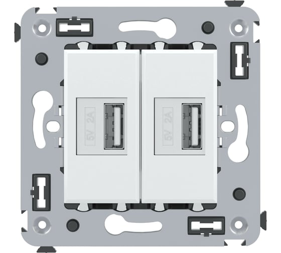 Изображение товара USB зарядное устройство в стену DKC, Avanti, Белое облако 4400543