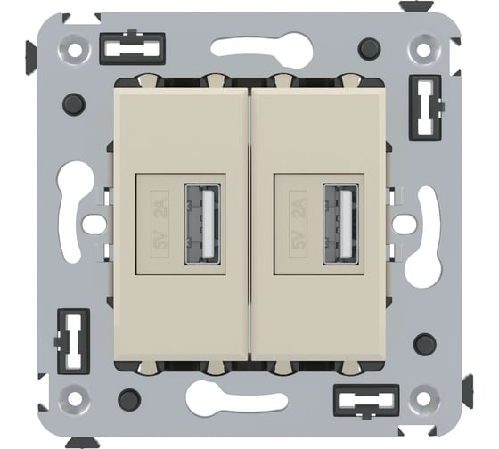 Изображение товара Зарядное устройство в стену DKC, Avanti USB, ванильная дымка 4405543