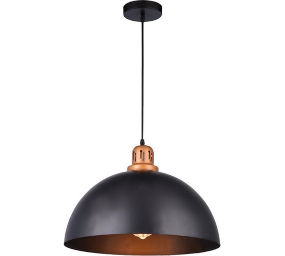 Изображение товара Подвесной светильник Arte Lamp EURICA A4249SP-1BK