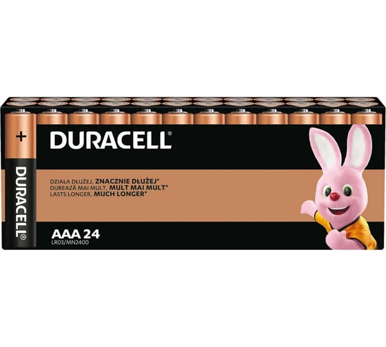 Изображение товара Батарейки ОФИСМАГ комплект 24шт, DURACELL Basic оригинал, ААА (LR03,24А), алкалиновые, мизинчиковые 456994