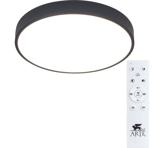 Изображение товара Потолочный светильник Arte Lamp ARENA A2661PL-1BK