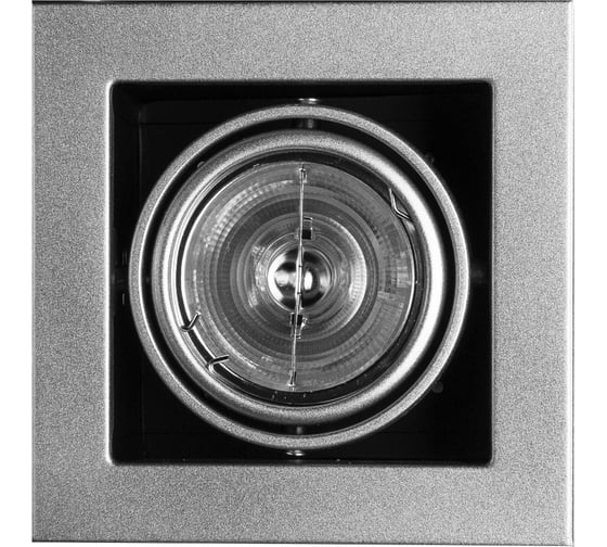 Изображение товара Встраиваемый светильник Arte Lamp CARDANI MEDIO A5930PL-1SI