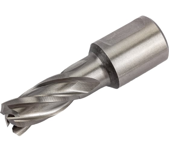 Изображение товара Сверло кольцевое (13х30 мм; HSS; Weldon 19) EUROBOOR HCS.130