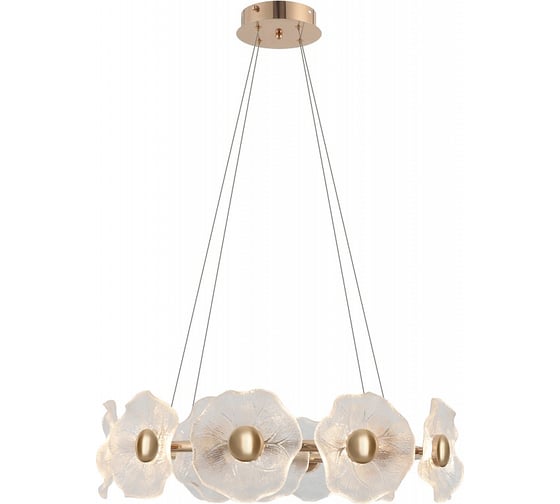 Изображение товара Люстра Rivoli Shannon 6135101 светодиодная LED 30 Вт 3000 K дизайн Б0061947