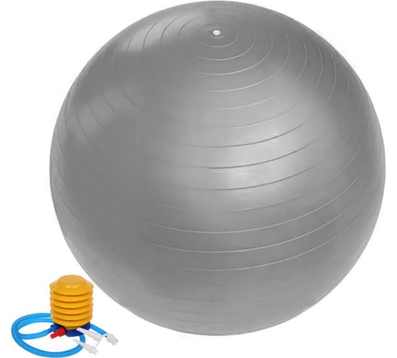 Изображение товара Фитбол Sportage 65 см, 800 г, с насосом, серебро 267-620/5