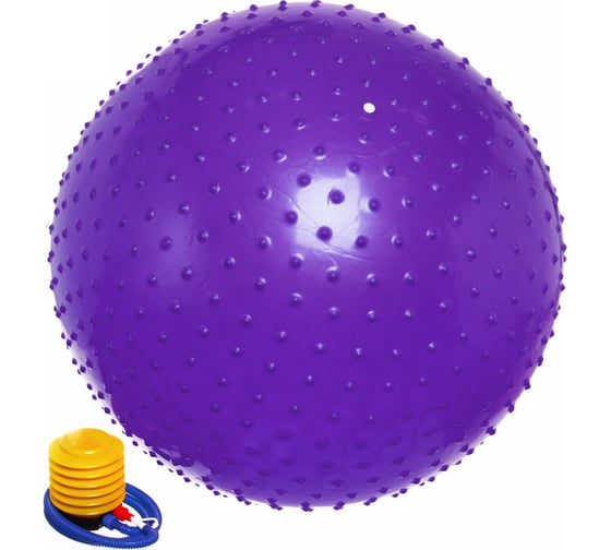 Изображение товара Фитбол массажный Sportage 75 см, с насосом, 1000 г, фиолетовый 267-817
