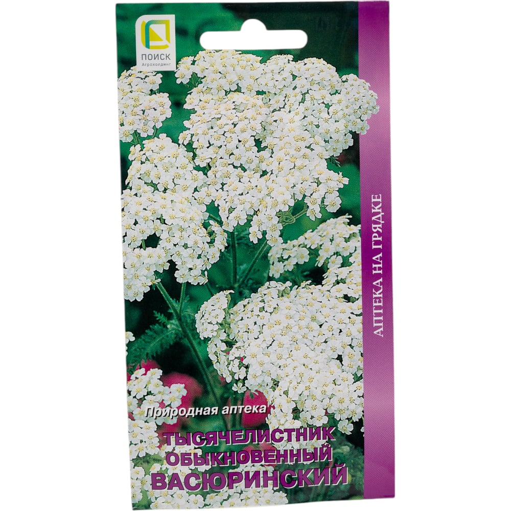 Семена Агрохолдинг ПОИСК 520810