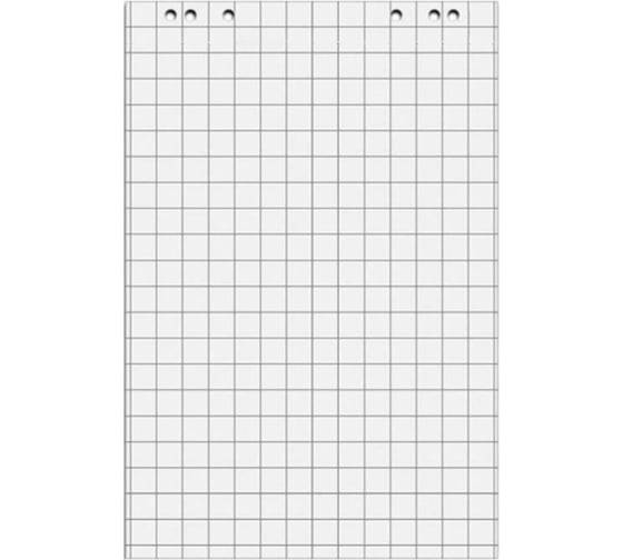 Изображение товара Бумага для флипчартов Attache блок клетка 67.5х98, 20 листов, 80 гр., 5 блоков/уп 764588