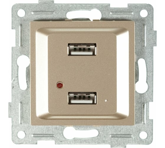 Изображение товара Механизм розетки GUSI ELECTRIC Ugra USB, двойной, СУ, шампань С11USB2-027
