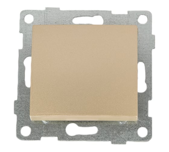 Изображение товара Механизм выключателя GUSI ELECTRIC Bravo 1кл. 2-х полюсный, СУ, 10А, 250В, шампань С10В5-027