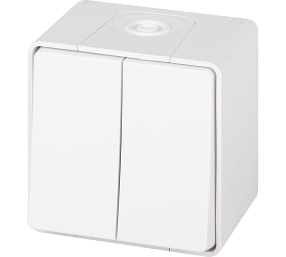 Изображение товара Переключатель ЭРА Эксперт 11150601 двойной IP55, 10АХ250В, ОУ, белый Б0063295