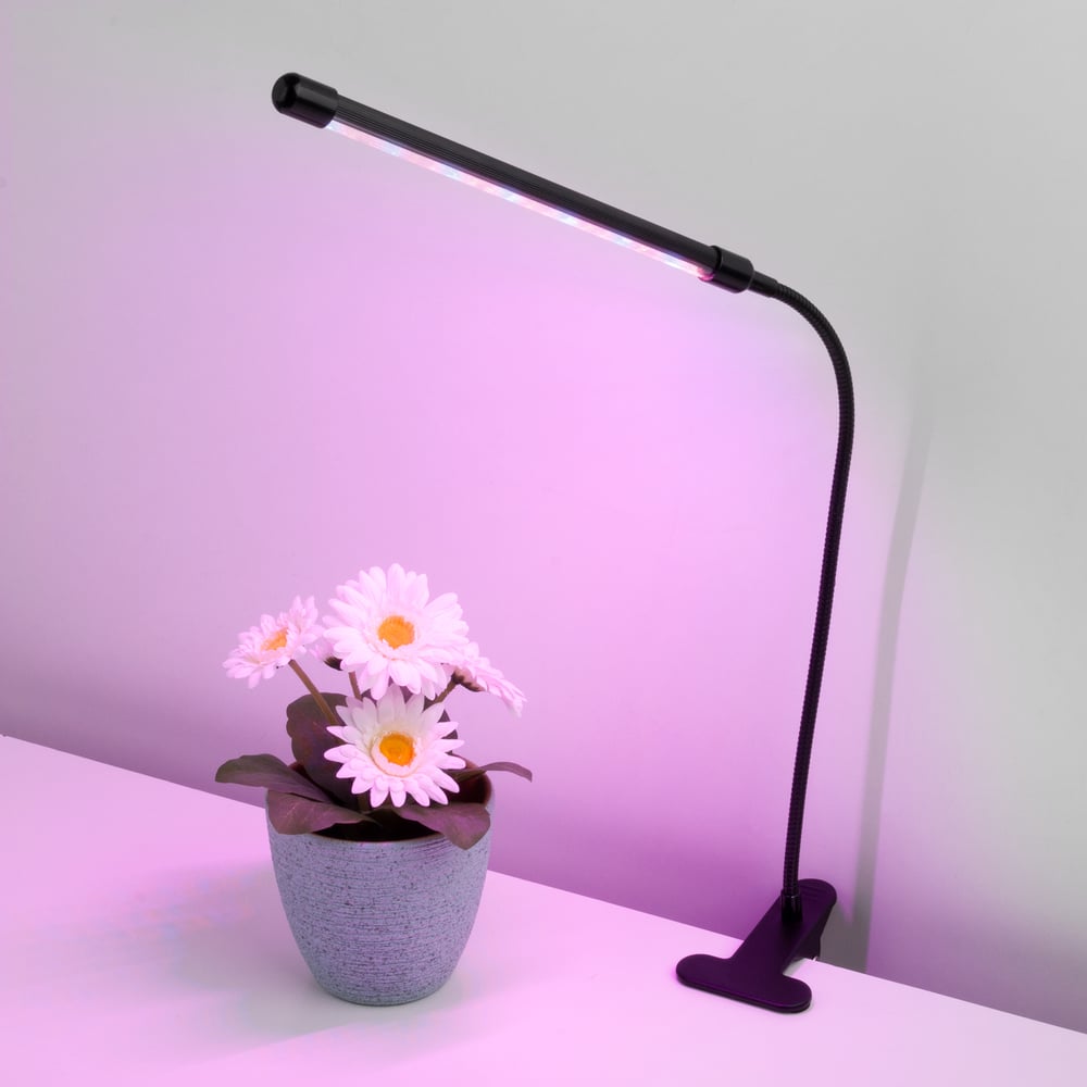 Светильник для растений Elektrostandard светодиодный светильник для растений glf1 600 8bt fito спектр для ения и завязей 1 30