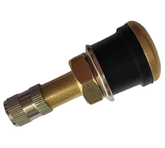 Изображение товара Вентиль бескамерной шины ДАЛИ-авто прямой, 55 мм DA-02249