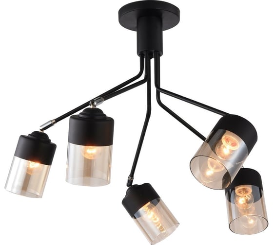 Изображение товара Потолочная люстра J-LIGHT KUNA 1762/5C