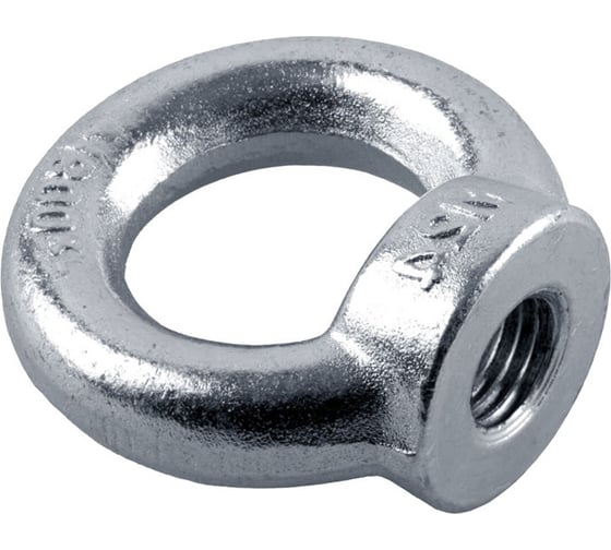 Изображение товара Рым-гайка SWFS DIN582 М16 10 шт. тов-195977