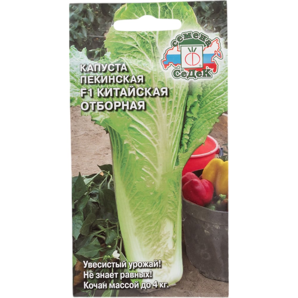 Капуста СеДек 14253