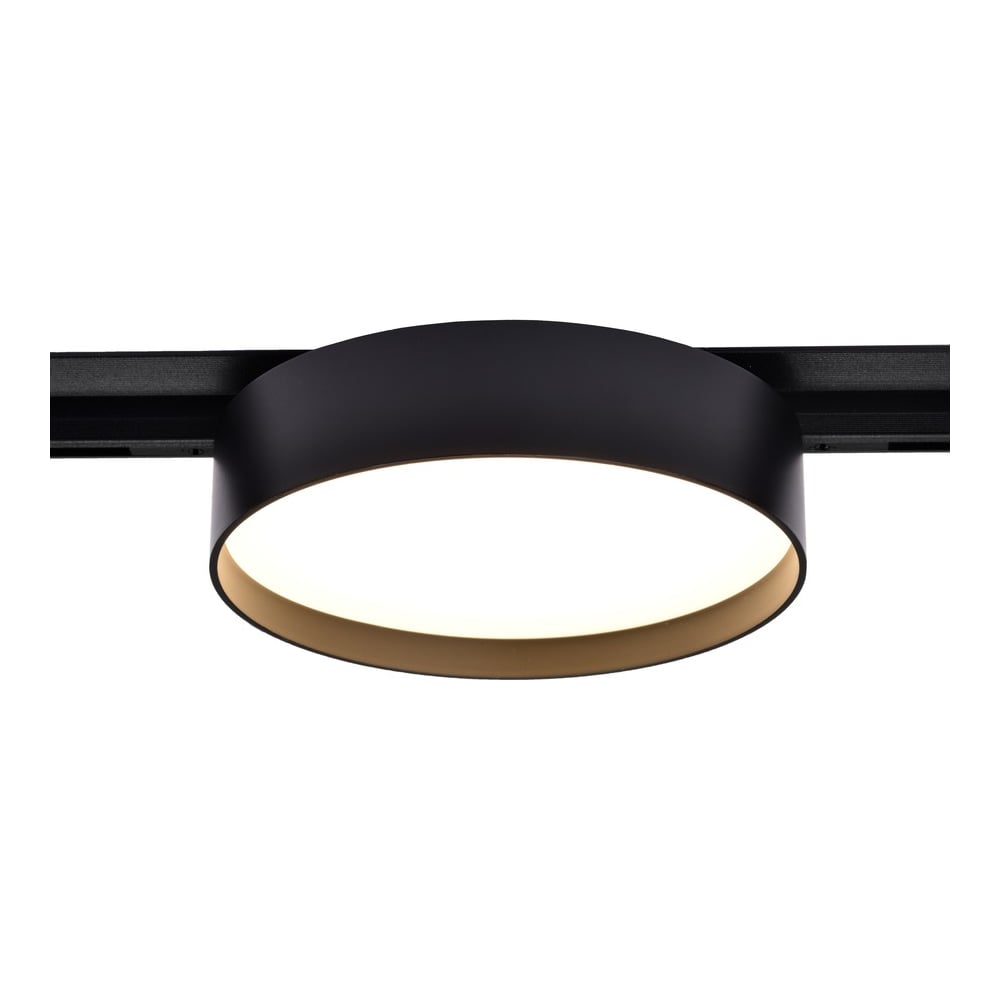 Изображение товара Трековый светодиодный светильник Wertmark WTL O14 607 40 12 12 Вт IP20