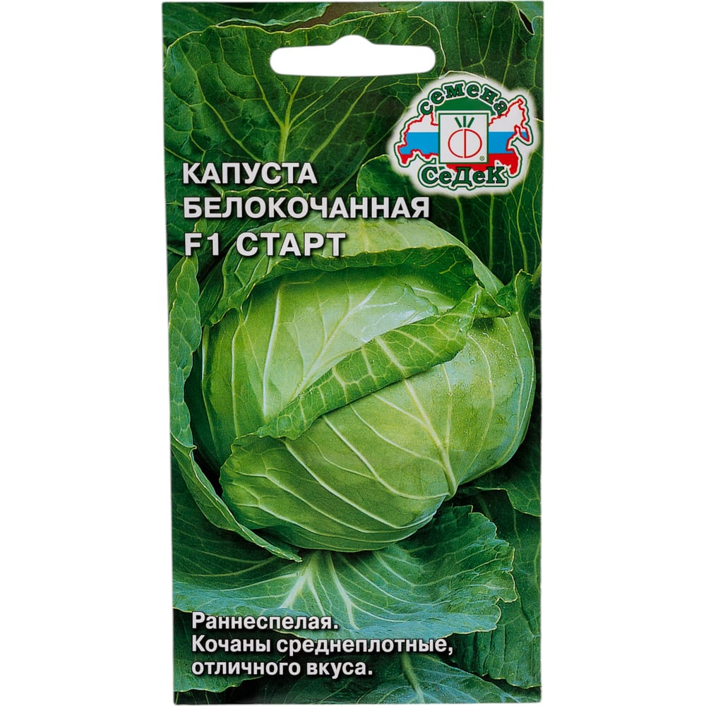 Семена СеДек I0000002355
